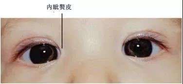 1573721980850574.jpg 圖1.jpg