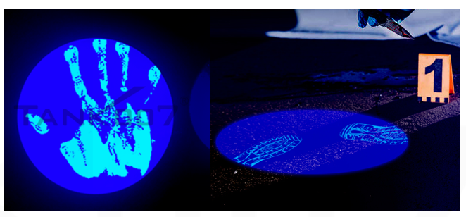 1701328659578712.png image.png