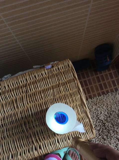  寶媽買了紫光手電，衣服上好多熒光劑，看的心慌害怕